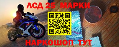 шишки Новозыбков