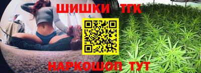 стаф Новодвинск