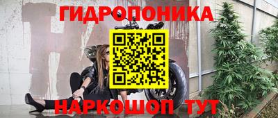 стаф Новодвинск