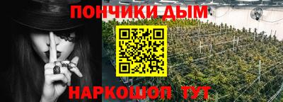 шишки Новозыбков