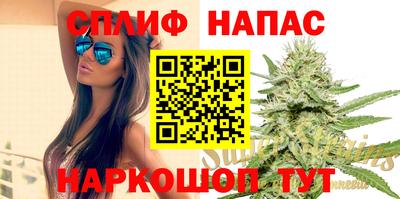 стаф Новодвинск