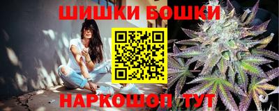 стаф Новодвинск