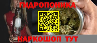 стаф Новодвинск
