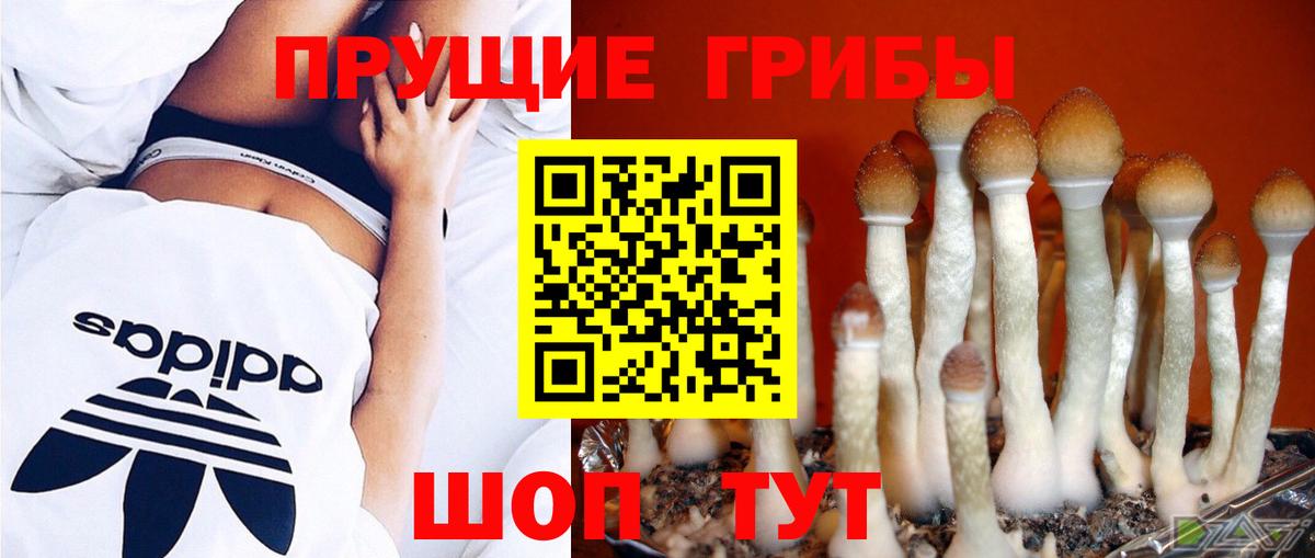 Псилоцибиновые грибы мицелий Семёнов