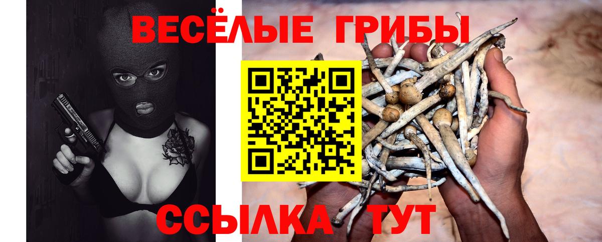 Семёнов  Псилоцибиновые грибы MAGIC MUSHROOMS  Вход с VPN 